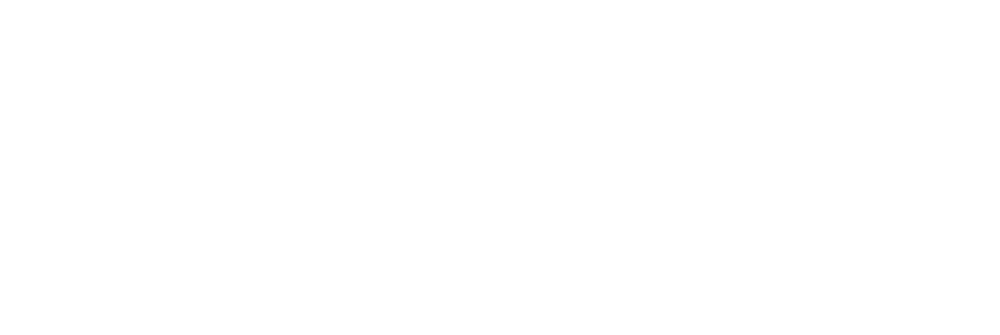 LANDYMAN SERVICES LOGO blanc